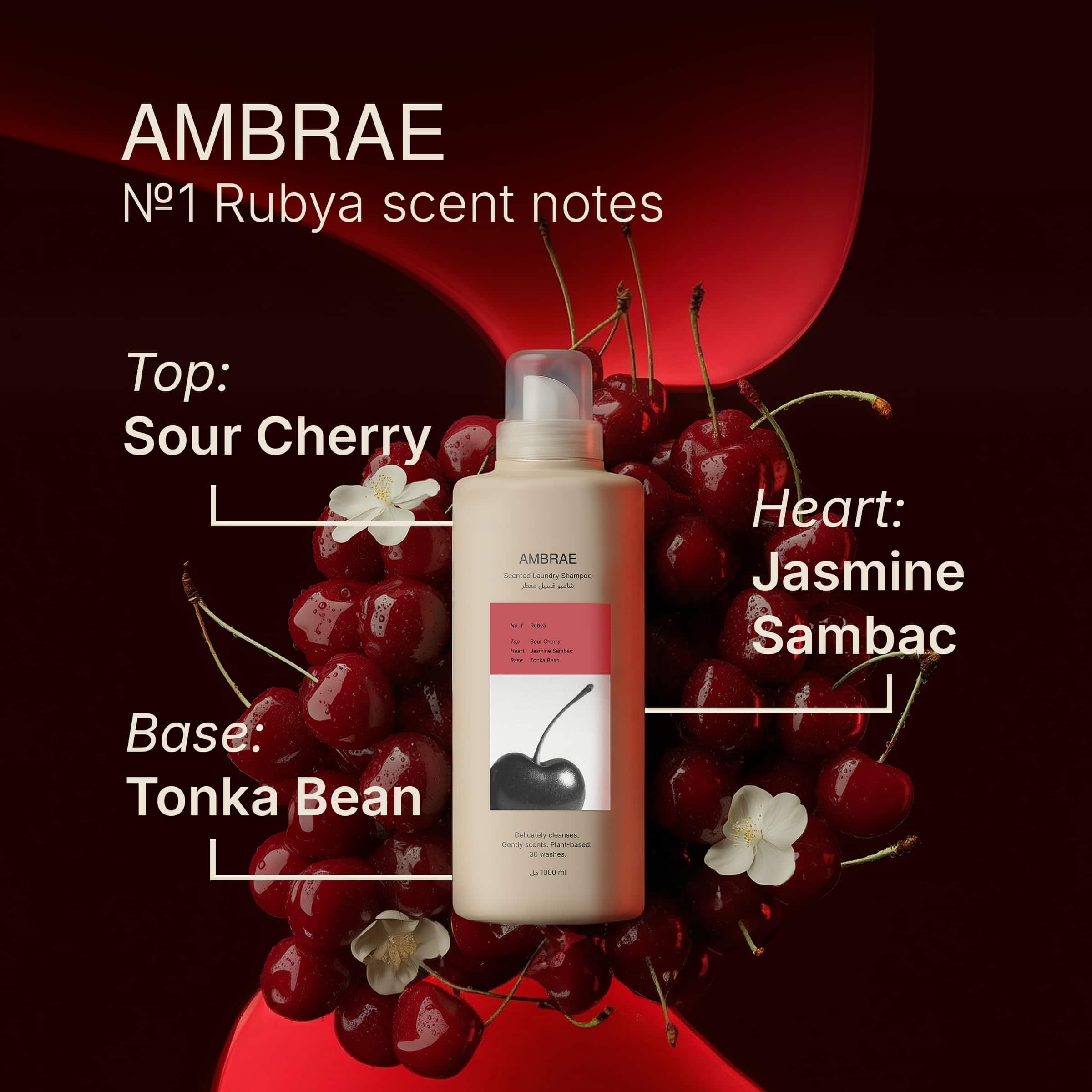 №1 Rubya Shampoo + Conditioner