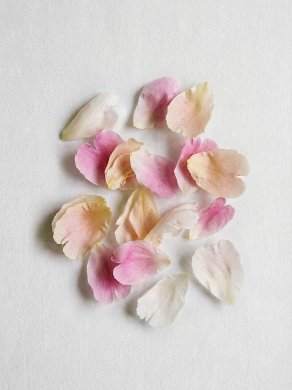 №5 Bloomia Peony